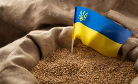 Slovacia restricţionează importurile de cereale din Ucraina