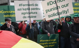 Fermierii români cer Guvernului interzicerea urgentă a importului în România a unor produse din Ucraina