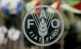 34я сессия Региональной конференции FAO для Европы пройдет в Молдове