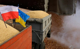 Украина и Польша договорились найти компромисс по экспорту зерна