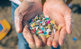 Важное решение по защите окружающей среды будет ограничено использование микропластика