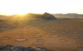Загадка волшебных кругов в пустынях все еще остается нераскрытой 
