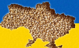 Ucraina numește condițiile pentru retragerea procesului privind cerealele de la OMC 