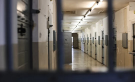 Un deținut din Penitenciarul Brănești a fugit din penitenciar