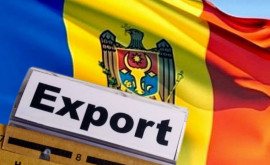 Ce poate oferi Moldova pieței mondiale Opinie 
