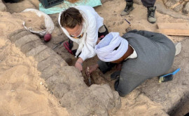 В Египте обнаружили кувшины с вином 5000летней выдержки