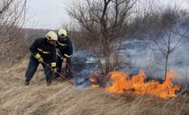 Десятки гектаров сухостоя были уничтожены огнём