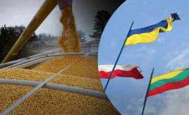 Ucraina Polonia si Lituania au incheiat un acord pentru tranzitul cerealelor
