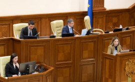 Deputata din Fracțiunea PAS Ana Calinici șia depus cererea de demisie