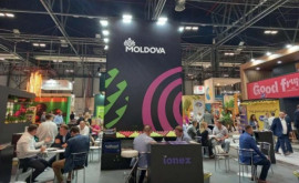 Молдавские фрукты представлены на международной выставке в Испании