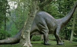 В Испании археологи обнаружили окаменелости редкого гигантского динозавра