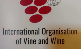 В Молдове пройдет Всемирный конгресс Международной организации винограда и вина