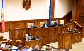 Parlamentul a adoptat noi reglementări pentru modernizarea activității bibliotecilor din țară