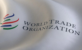 Ucraina șia pus pe pauză plîngerile împotriva Poloniei Ungariei și Slovaciei la OMC