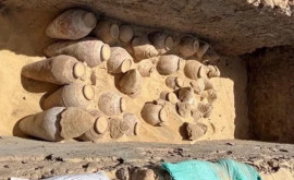 На юге Каира найдены сотни древних кувшинов с остатками сохранившегося вина