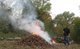 Сжигание листьев угрожает окружающей среде и здоровью людей