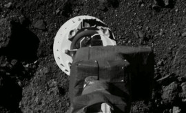 Образец доставленного с астероида Бенну грунта содержит углерод и воду