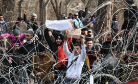Зураб Тодуа о мигрантах в странах ЕС Они едут туда жить на пособия