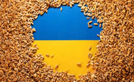 România aprobă noi condiții pentru importurile de cereale ucrainene
