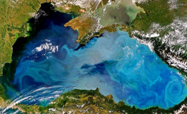 Вода Черного моря пригодна только для купания