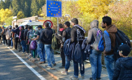Нелегальная миграция в Германию достигла пика