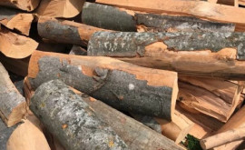 Un bărbat din Călărași nu a mai ajuns cu lemnele de foc acasă a fost amendat