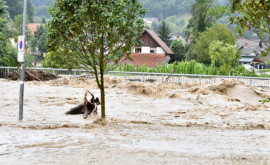 Cod roşu de ploi torenţiale şi risc de inundaţii în Slovenia