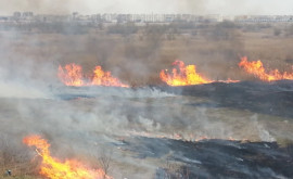 Două incendii de vegetație au izbucnit în capitală