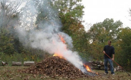 Молдаване не могут отказаться от привычек они продолжают сжигать сухую растительность