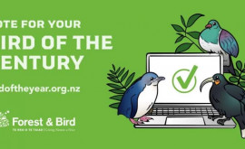 Жители Новой Зеландии будут голосовать за Птицу века