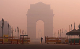 В столице Индии значительно ухудшилось качество воздуха