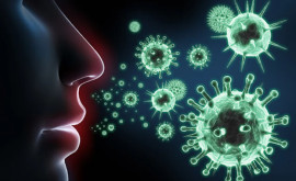 Oamenii de știință au dezvăluit fapte uimitoare despre masa sistemului imunitar al omului