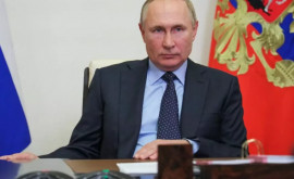Vladimir Putin ironizează ploșnițele din Occident 