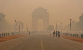 В НьюДели запретили пользоваться автомобилями изза смога