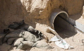 Cîinii de atac vor fi trimiși în tunelurile teroriștilor Hamas 