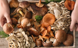 Внимание Не покупайте грибы в неразрешенных местах это может стоить вам жизни