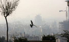 Изза загрязнения воздуха в Иране школьники вынуждены учиться из дома