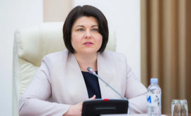 Natalia Gavrilița împreună cu un fost ministru au înființat un ONG