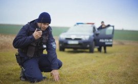 Попытка незаконного пересечения молдавскорумынской границы Задержаны пять иностранцев