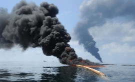 Scurgere de petrol în Golful Mexic Peste 41 milioane de litri de petrol au contaminat zona