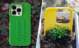 Для смартфонов создали чехол из которого прорастают растения