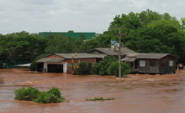 Наводнения сеют хаос в Бразилии