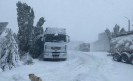 Restricții de circulație pentru camioane în PTF LeușeniAlbița