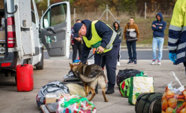 Три кинологические команды Пограничной полиции успешно сдали экзамен в Чехии