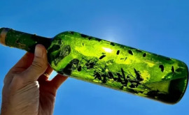 В США море выносит на берег странные бутылки которые лучше не открывать