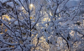 В преддверии чуда красавица зима в объективе фотографа