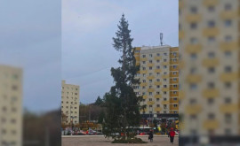 Рождественская елка установленная в Румынии вызвала шутки и иронию