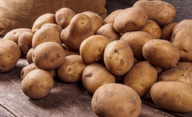 Moldova a reluat importul cartofilor din Belarus