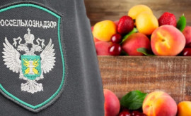 Реакция ANSA на новое эмбарго России на молдавские фрукты и овощи