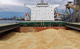 Украинский коридор 200 судов экспортировали 7 млн т грузов из портов Большой Одессы